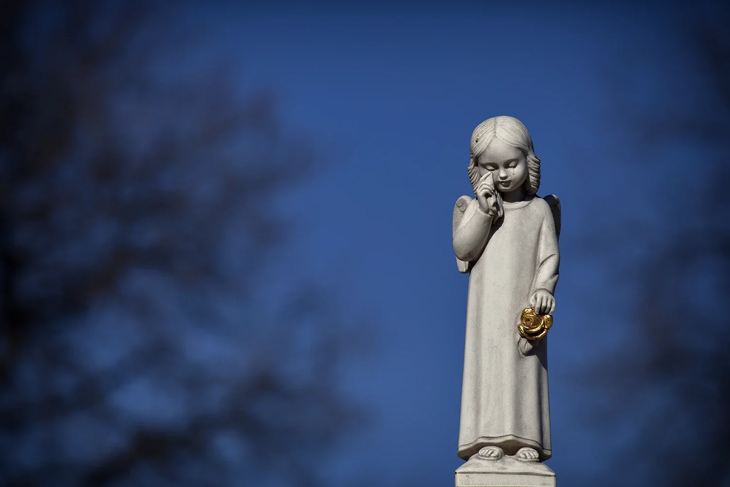 In Memoriam #206 © Rémy SALAÜN