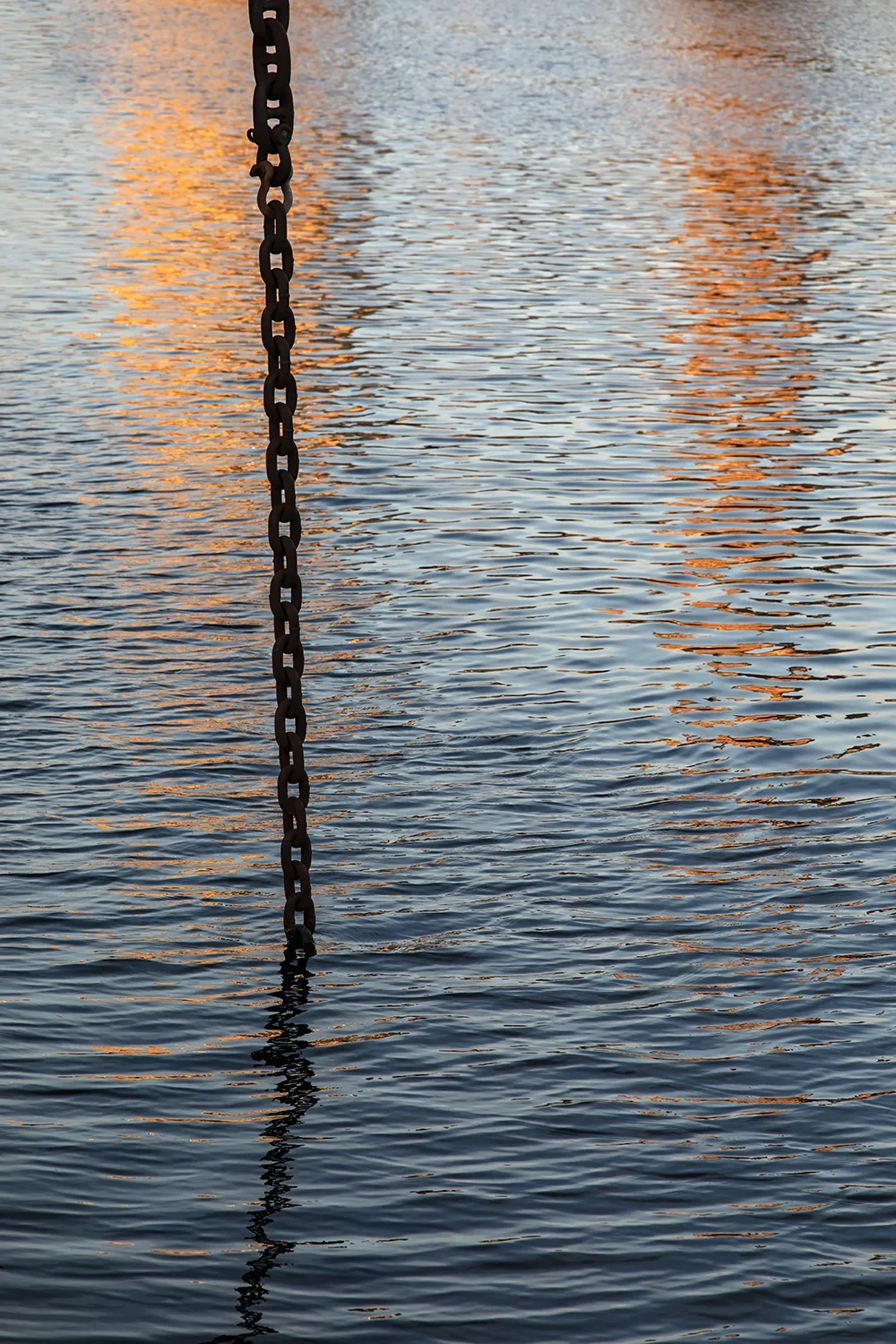 <strong>Reflets Portuaires #113</strong> <small>© Rémy SALAÜN</small>