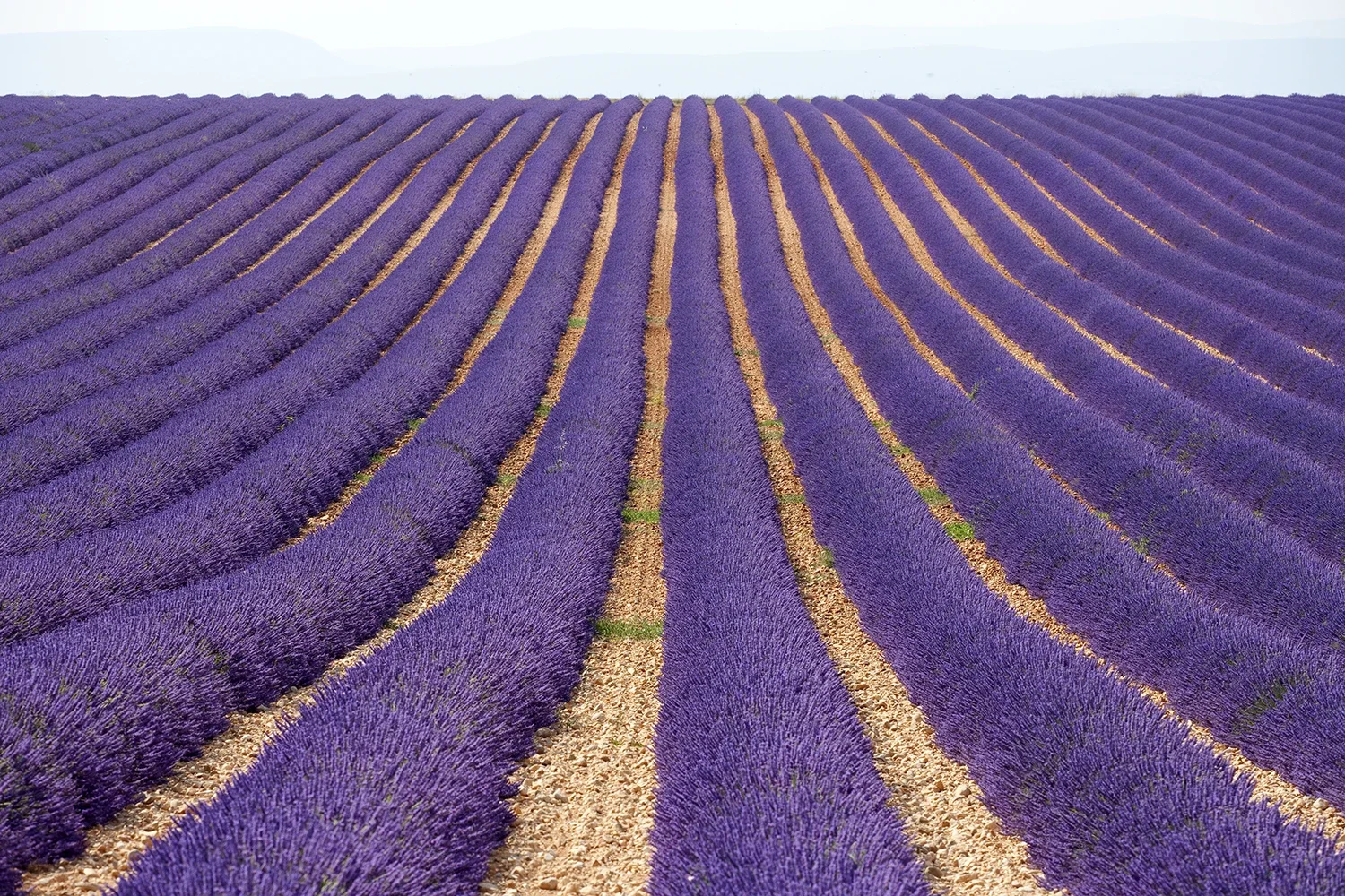 Paysages #253 © Rémy SALAÜN