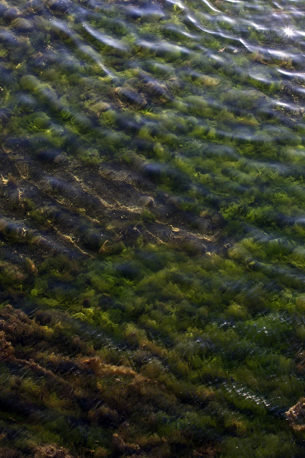 <strong>Mare Nostrum #114</strong> <small>© Rémy SALAÜN</small>