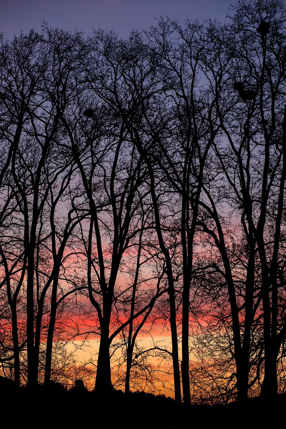 Paysages #258 © Rémy SALAÜN