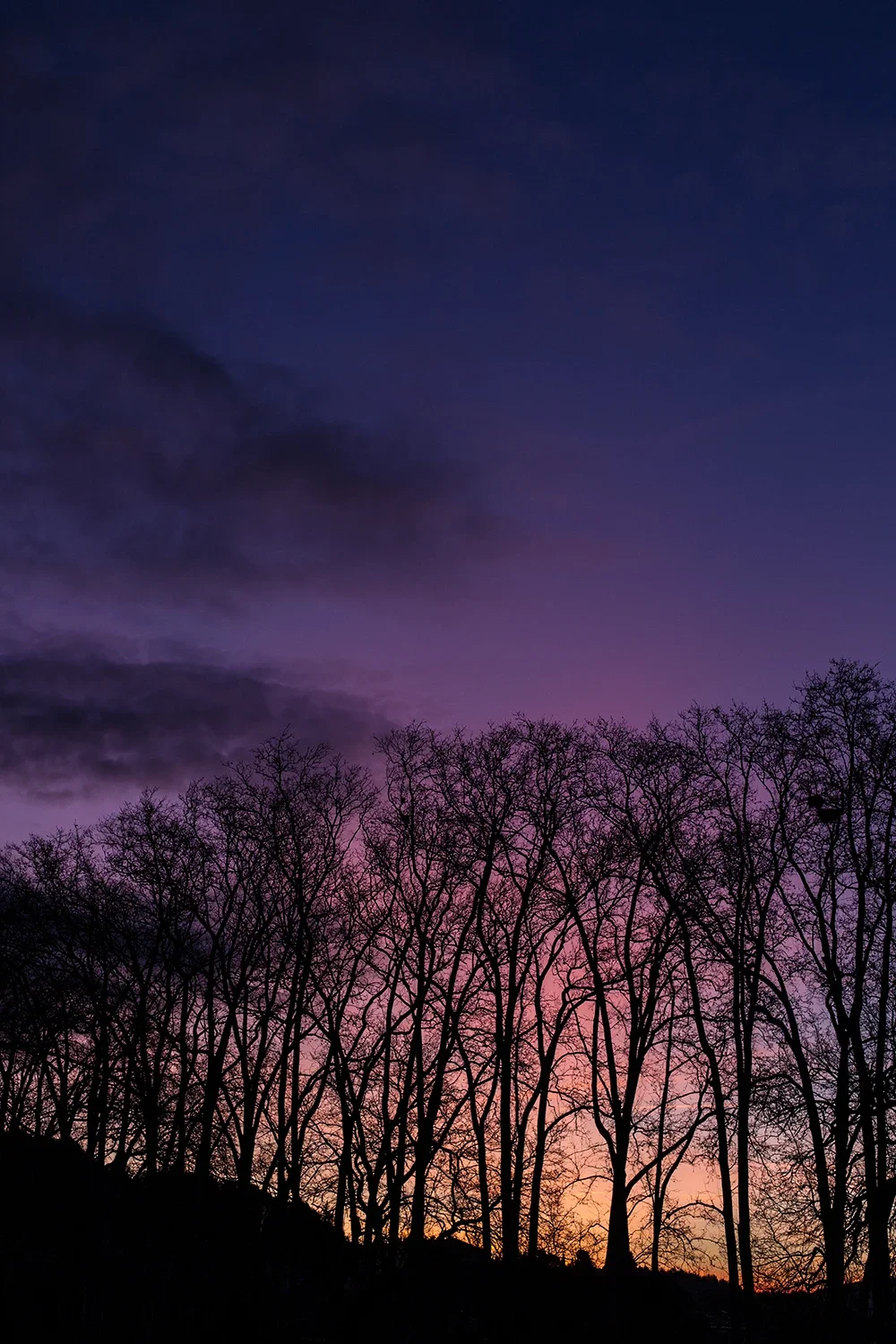 Paysages #255 © Rémy SALAÜN