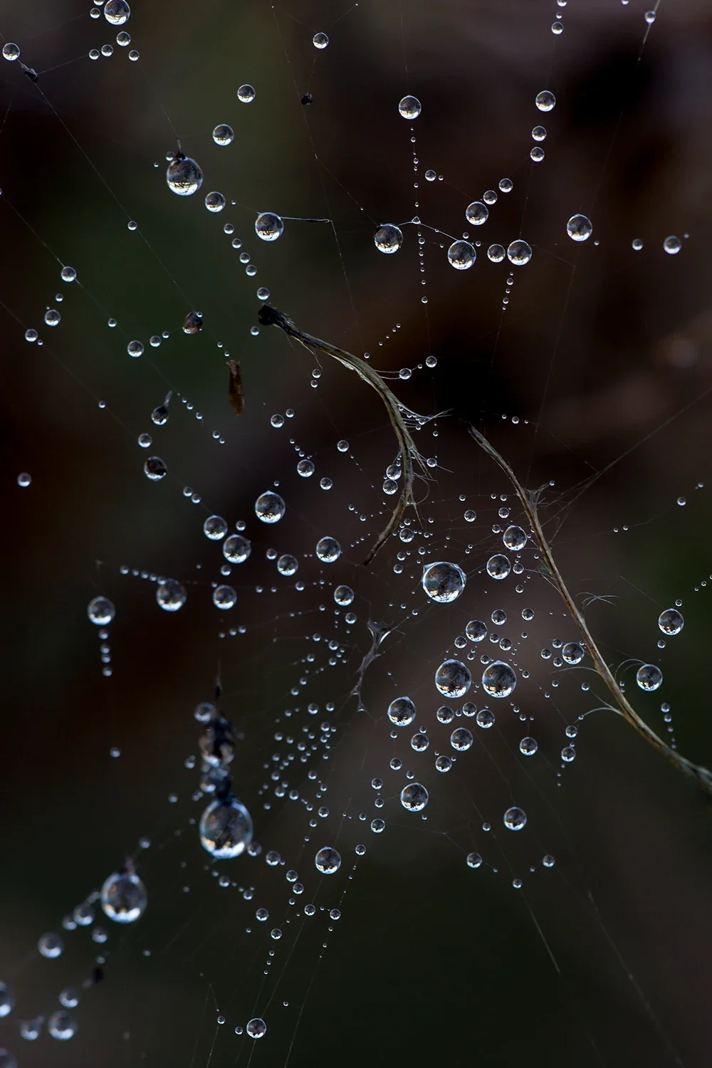 Après la Pluie #196 © Rémy SALAÜN