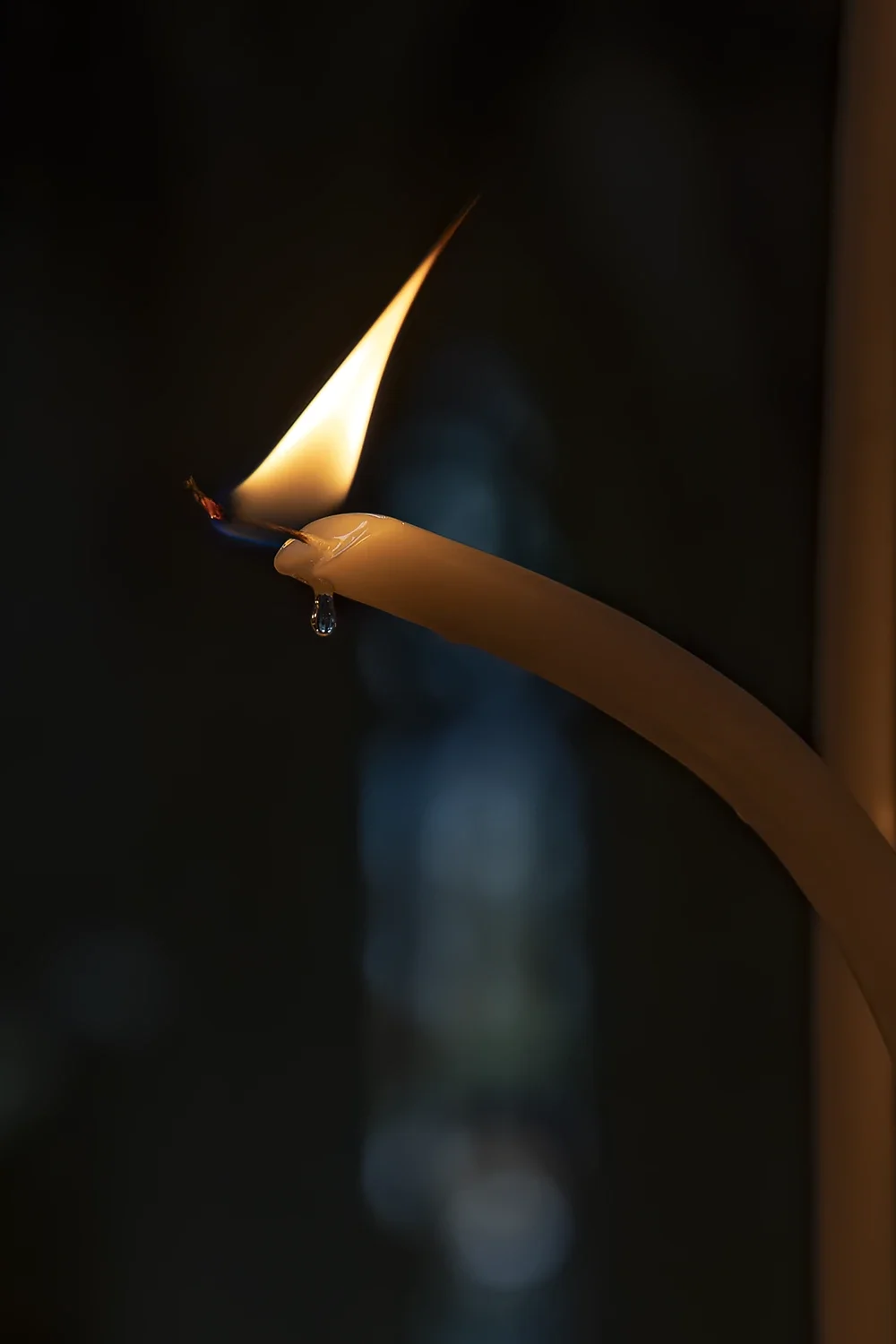 Lumières #229 © Rémy SALAÜN
