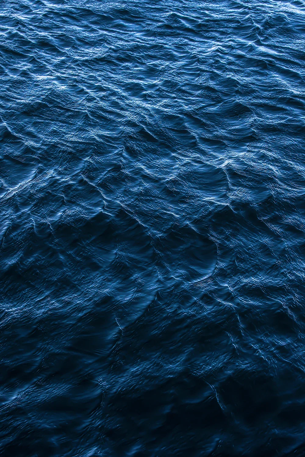 <strong>Mare Nostrum #117</strong> <small>© Rémy SALAÜN</small>