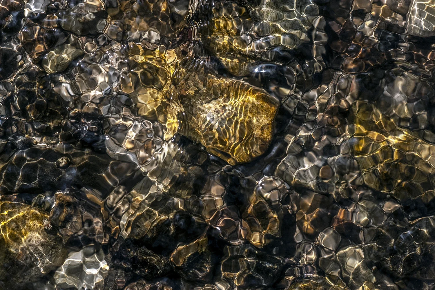 Physique des Fluides #171 © Rémy SALAÜN
