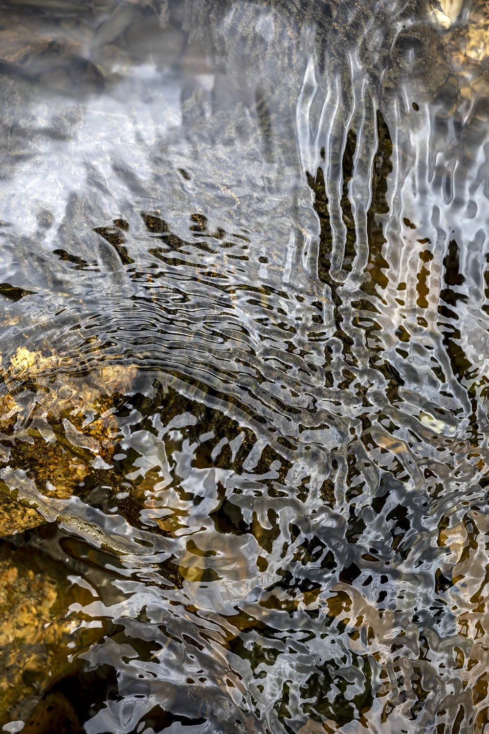 Physique des Fluides #176 © Rémy SALAÜN