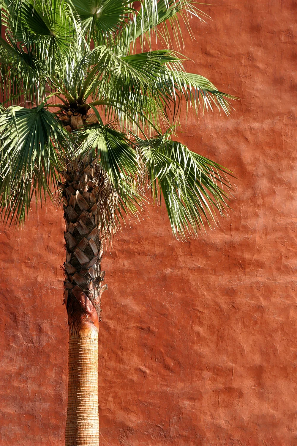 <strong>Daily Graphisme #44</strong> <small>© Rémy SALAÜN</small>