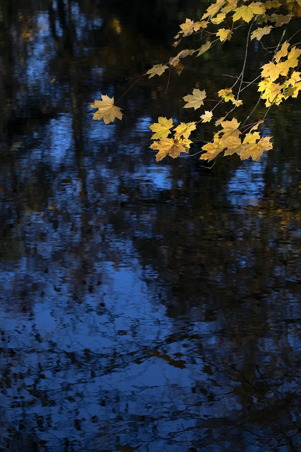 Paysages #262 © Rémy SALAÜN